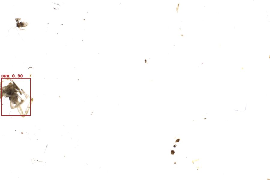 Image 56